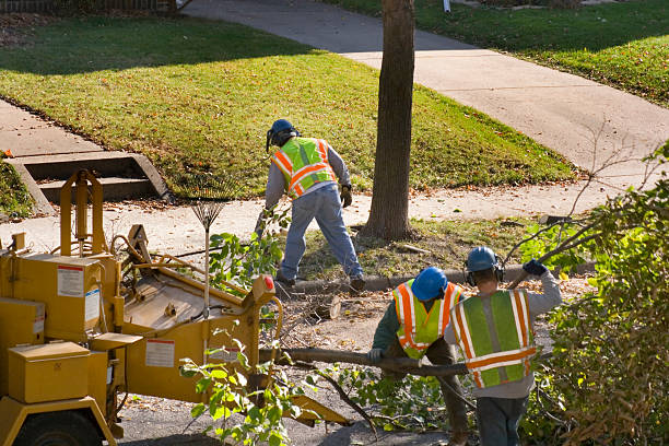 Best Seasonal Cleanup (Spring/Fall)  in Marion, IN