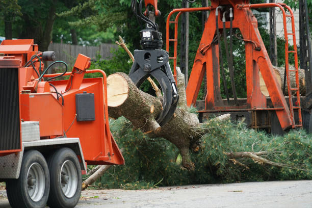 Best Tree Risk Assessment  in Marion, IN